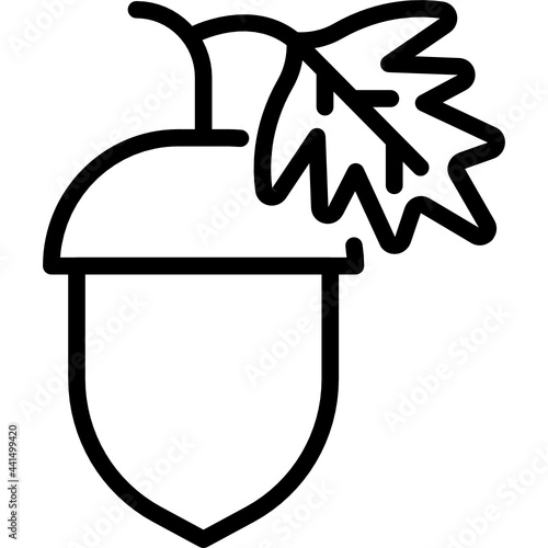 acorn line icon