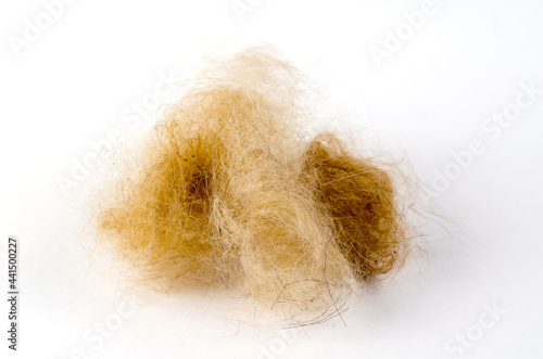 Orange dog hair ball on a white background. Dead hair combed out