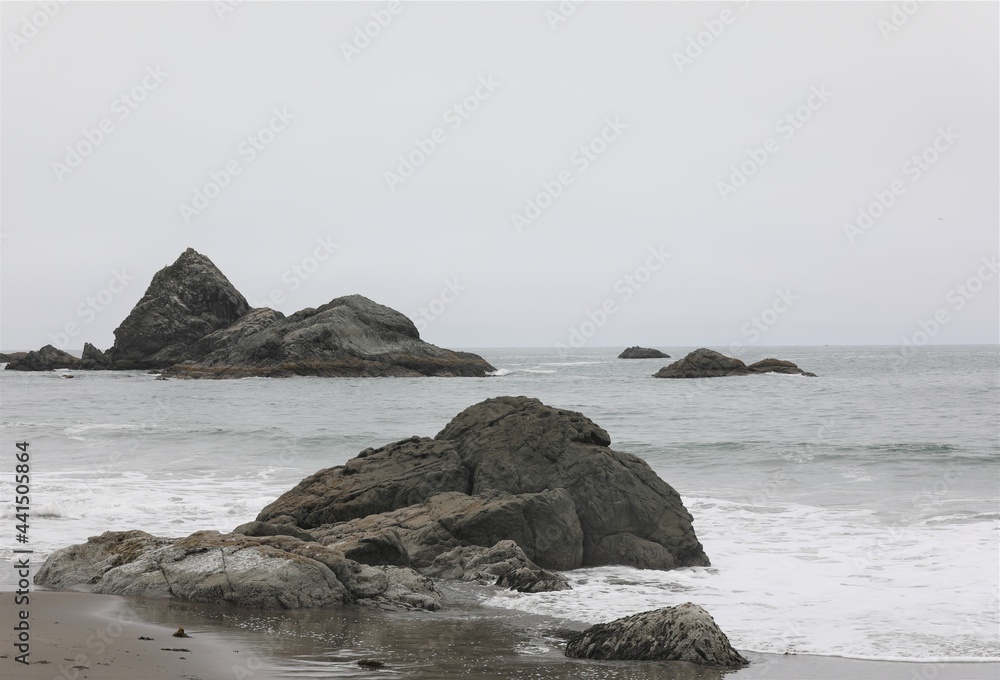 Rocks and Waves of the Shore of Oregon on a Foggy Day