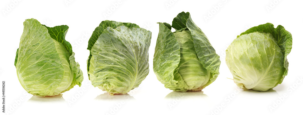 cabbage on a white background cabbage on a white background
