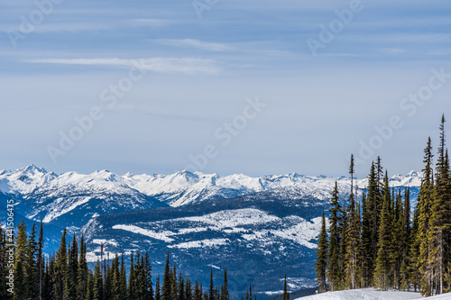 trees in front of beautiful snow-capped mountains against the blue sky in British Columbia Canada