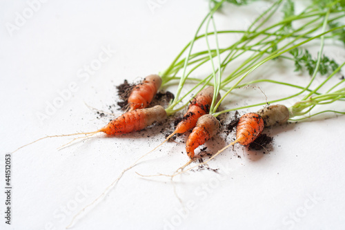carrots with soil and green leaves on white