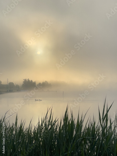 scenic view of sunrise over lake Olbersdorf. Misty atmosphere with ducks swimming in the lake and grass in the foreground