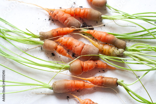 carrots with soil and green leaves on white