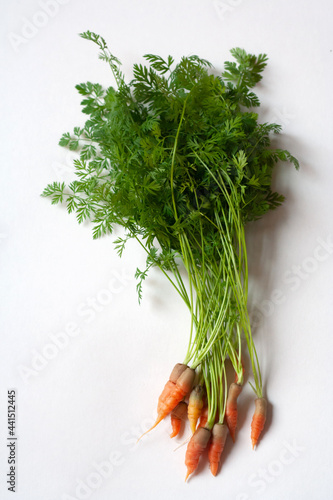 bunch of carrots with green leaves on white