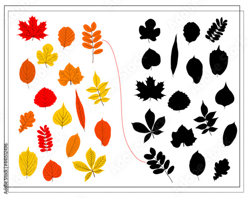 a logical game for children, find the right shade for the autumn leaves of trees. vector isolated on a white background