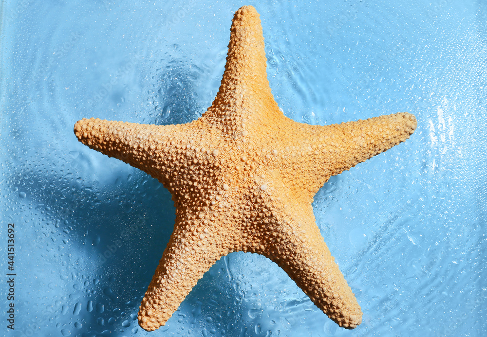 Starfish on color background with water drops Starfish on color background with water drops