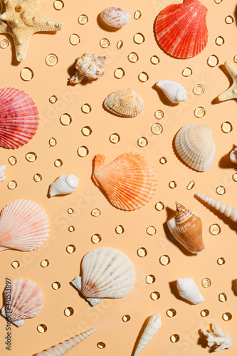 Beautiful seashells on color background with water drops