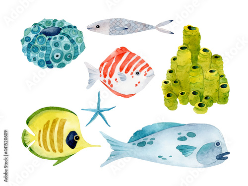 Colorful fishes watercolor isolated elements set collection