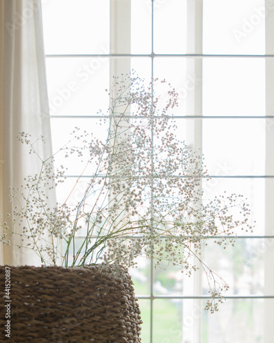 window with flowers in the morning