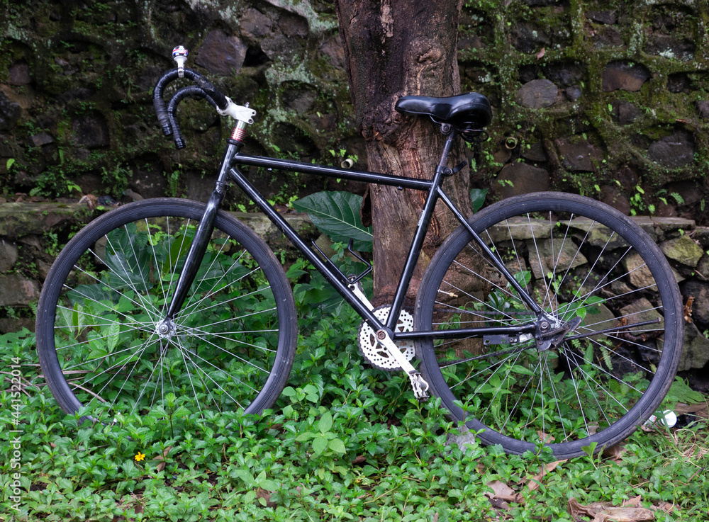 Bicycle leaning against a tree against a stone wall background