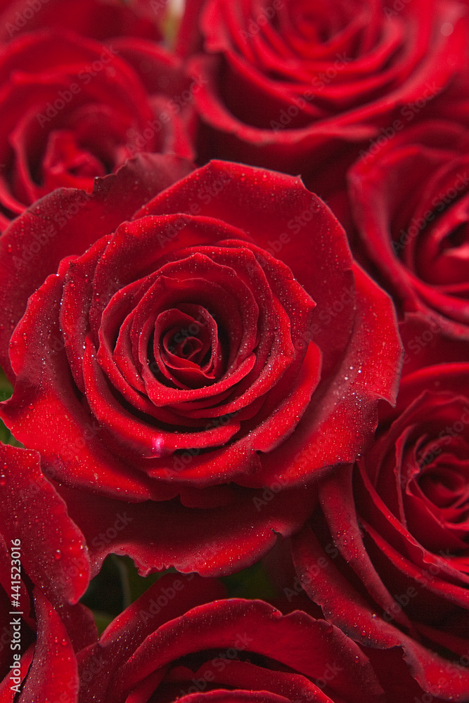 バラの花束 バラの花束