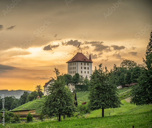 old castle in sunset with vineyards © Heiner