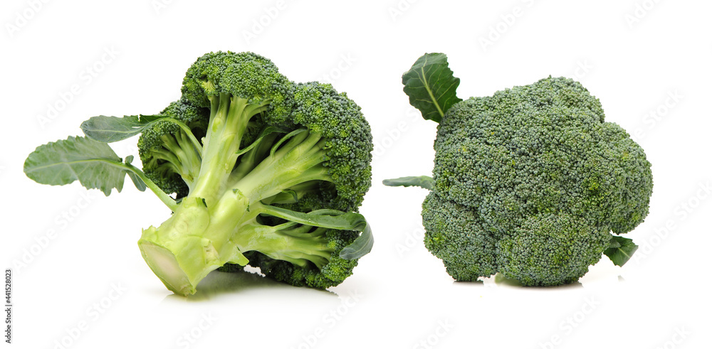 broccoli isolated on white background broccoli isolated on white background