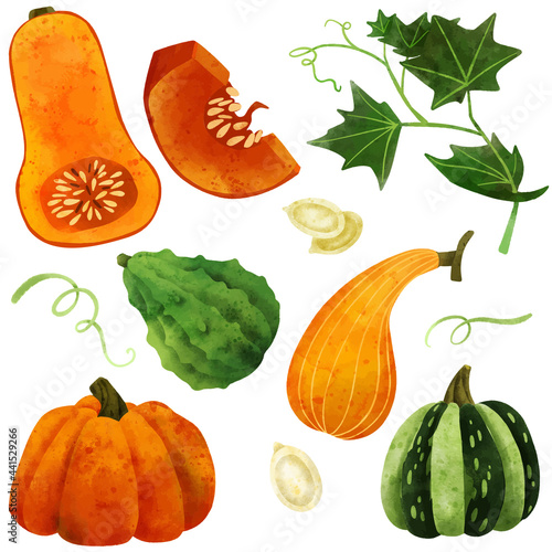 Pumpkins and leaves, hand drawn vector watercolor