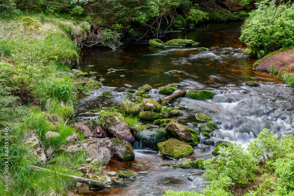 Fichtelgebirge Weissmainpfad, frühsommerlicher Gebirgsbach