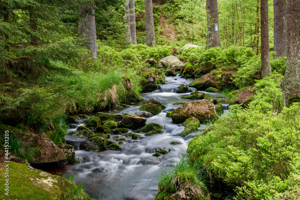 Fichtelgebirge Weissmainpfad, frühsommerlicher Gebirgsbach Fichtelgebirge Weissmainpfad, frühsommerlicher Gebirgsbach