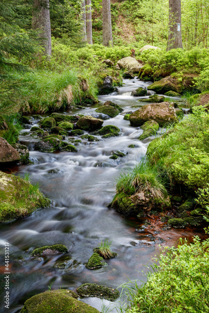 Fichtelgebirge Weissmainpfad, frühsommerlicher Gebirgsbach