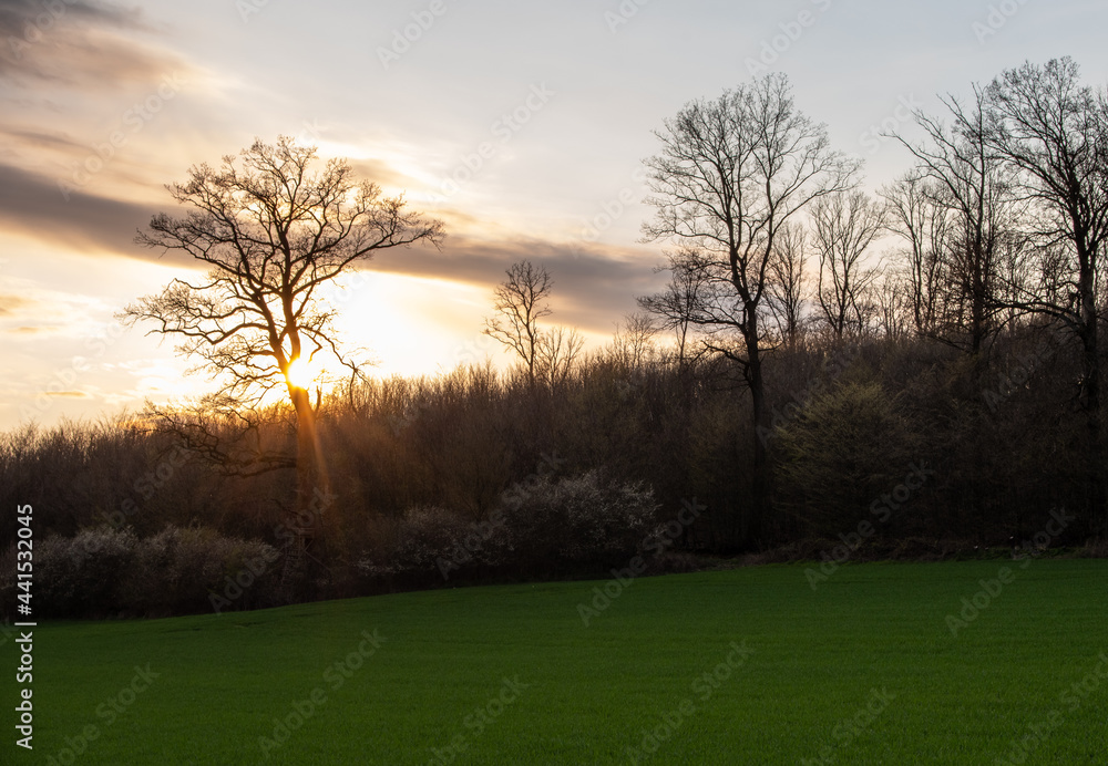 Naklejka premium Country landscape in sunshine,Germany