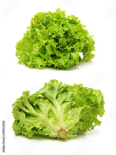 green lettuce isolated on white background photo