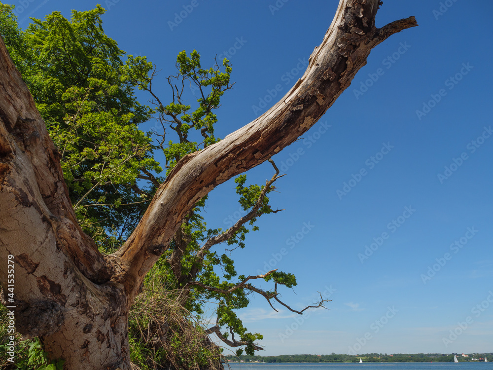 Die Halbiinsel Holnis in der Ostsee Die Halbiinsel Holnis in der Ostsee
