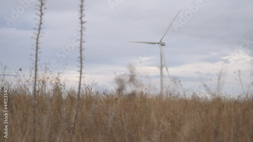 generatore eolico visto dall'erba photo