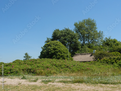 Die Halbinsel Holnis in der Ostsee