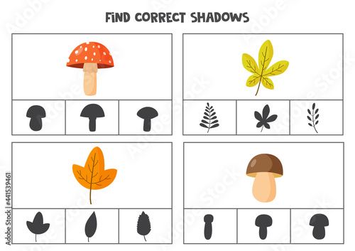 Find correct shadow of autumn leaves and mushrooms. Printable clip card games for children.