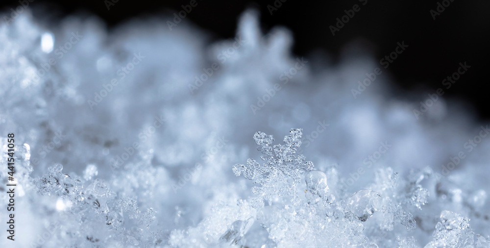 Obraz premium Snowflake in the snow, winter season