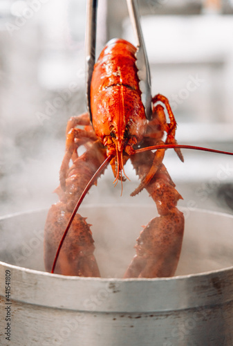 Cuadro en lienzo Fresh lobster being prepared for cooking