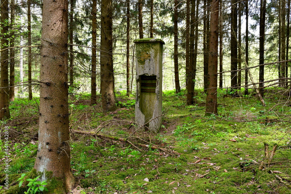 A view of a remnant of a concrete pillar that was used by German soldiers to hide phone cables and remote phones in seen in the middle of a dense forest on a sunny summer day in Poland