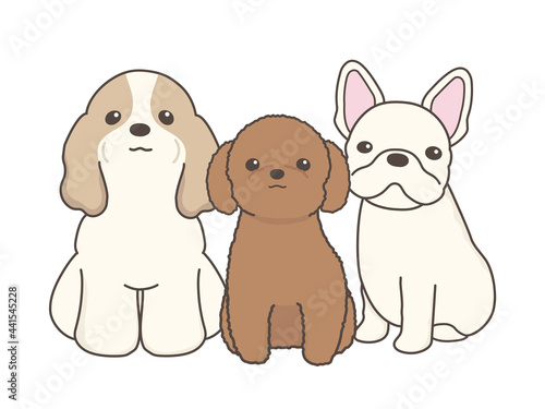 カメラ目線の犬達　スパニエル犬とトイプードルとフレンチブルドック