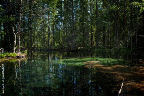 Fototapeta Naklejka Na Ścianę i Meble -  Beautiful turquoise natural spring water in Ingbo national park in north of Sweden.