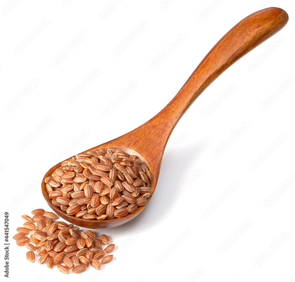 raw short-grain brown rice in the wooden spoon, isolated on white background raw short-grain brown rice in the wooden spoon, isolated on white background