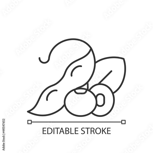 Soybean linear icon. Healthy foods. Natural milk source. Vegetarian meals preparing. Thin line customizable illustration. Contour symbol. Vector isolated outline drawing. Editable stroke