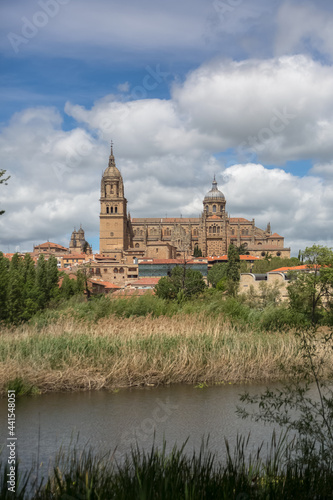 Majestic view at the gothic building at the Salamanca cathedral tower cupola dome and University of Salamanca tower cupola dome, surrounding vegetation and tormes river
