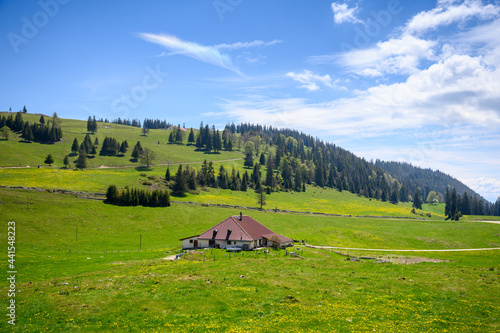 typical landscape in the swiss jura with a farm house , wildflowers and forest