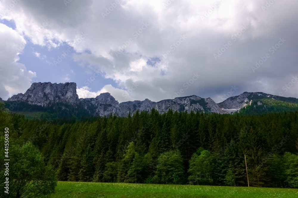 wonderful nature with rugged mountains and green meadow and forest