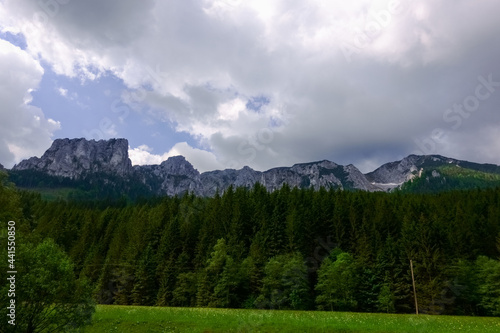 wonderful nature with rugged mountains and green meadow and forest