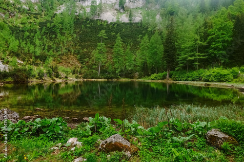 wonderful mountain lake with green trees and plants