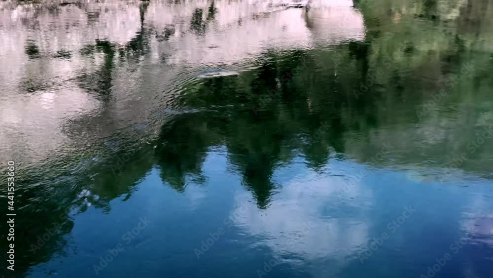 Reflection of a mountain and the forest in a lively water stream. Bright beautiful summer Reflection of a mountain and the forest in a lively water stream. Bright beautiful summer
