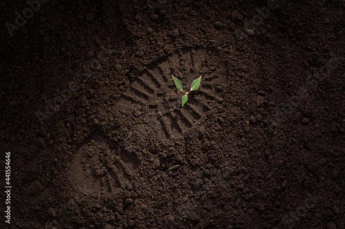 Obraz na plátně young green plant on the ground, shoe print, footprint on the ground, field, soi