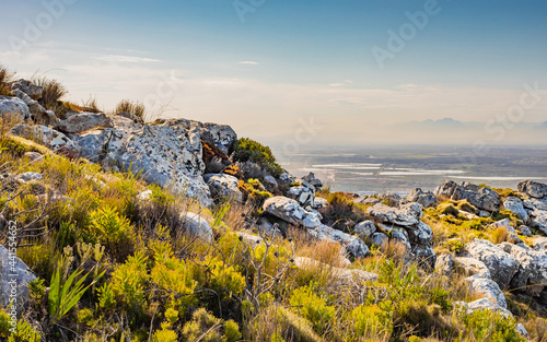Rugged mountain landscape with fynbos flora in Cape Town photo