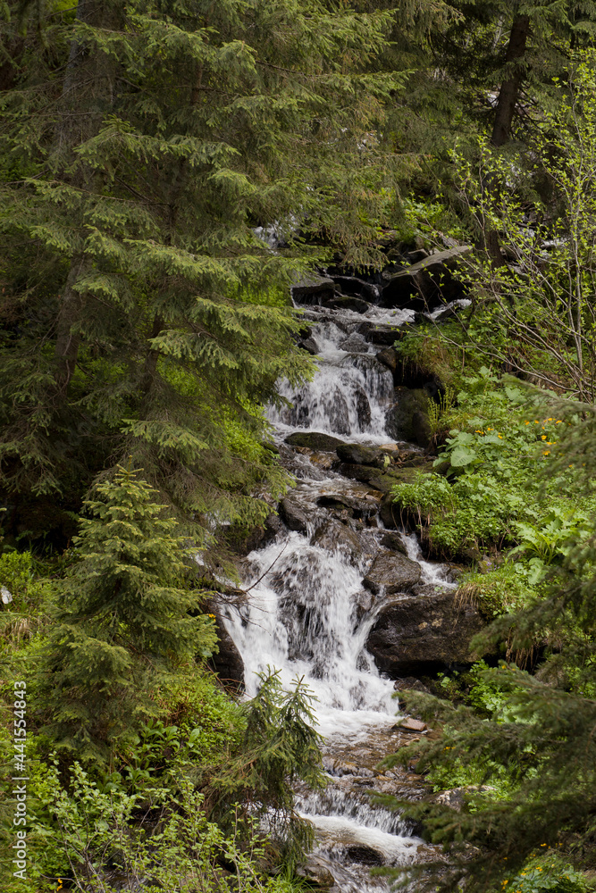 stream and spring in the mountains among the stones stream and spring in the mountains among the stones
