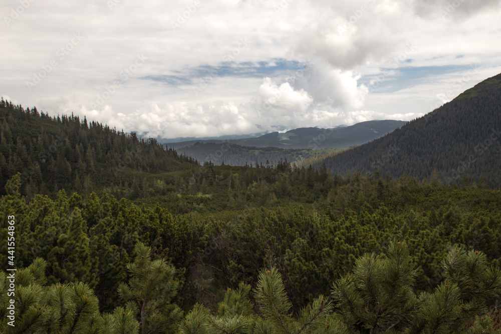 mountains in summer in the clouds