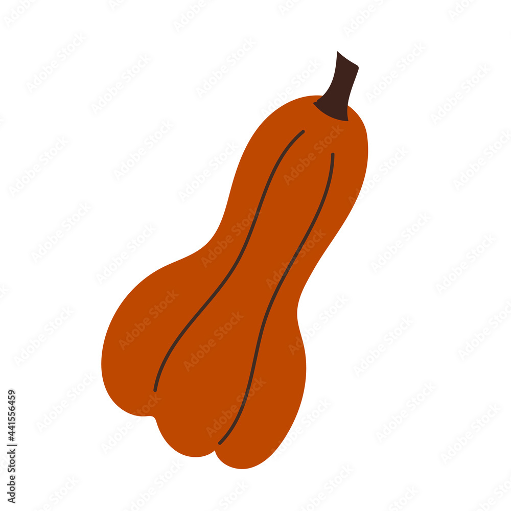 Flat Style Illustrated orange Pumpkin Fruit Icon. Vector Illustration