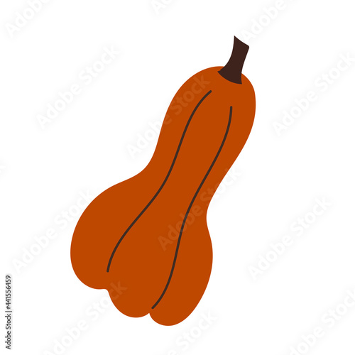 Flat Style Illustrated orange Pumpkin Fruit Icon. Vector Illustration