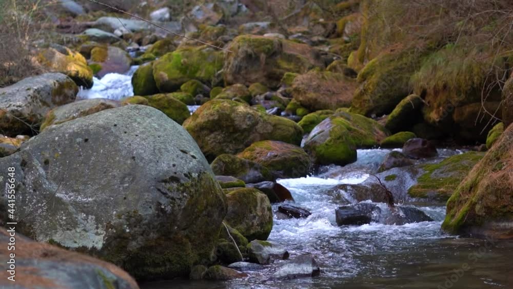 View of the river stream besides the rock in the forest at Soyal village near Manali in Himchal Pradesh, India View of the river stream besides the rock in the forest at Soyal village near Manali in Himchal Pradesh, India