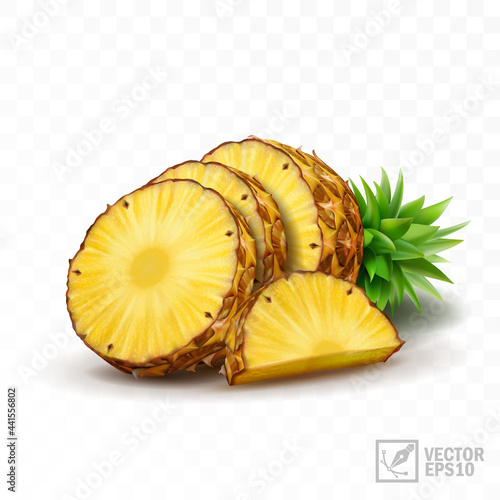 3d realistic isolated vector pineapple set, half pineapple with leaves, slices and a half