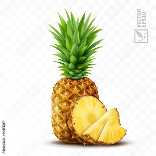 3d realistic isolated vector pineapple set, whole pineapple with leaves, pineapple slices and pieces